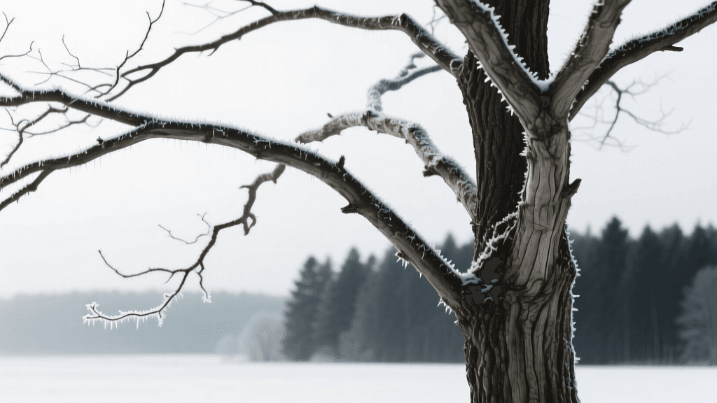 Winter Tree Care Guide: Dormant Pruning & Frost Protection