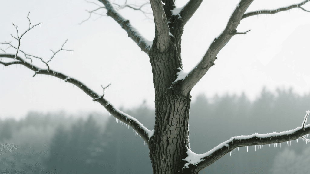Essential Winter Tree Care and Cold Weather Protection